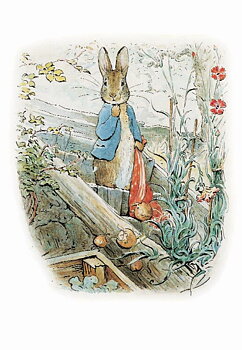 Peter Rabbit/bag minicard