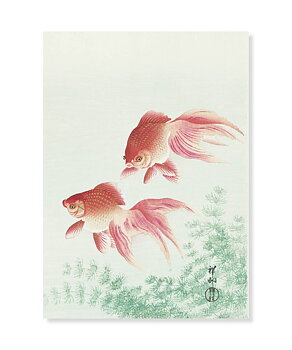 Two Veil Goldfish, Ohara Koson, Postcard