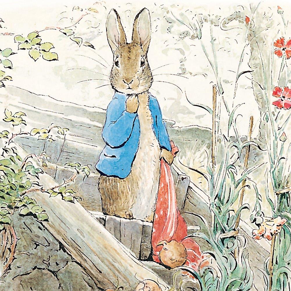 Beatrix Potter square Peter Rabbit onion patch, Greeting Card