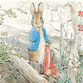 Beatrix Potter square Peter Rabbit onion patch, Greeting Card