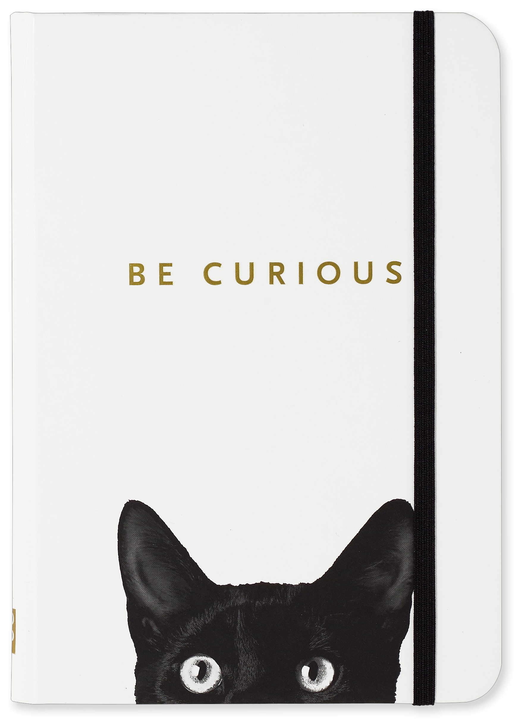 Curious Cat, Small Journal