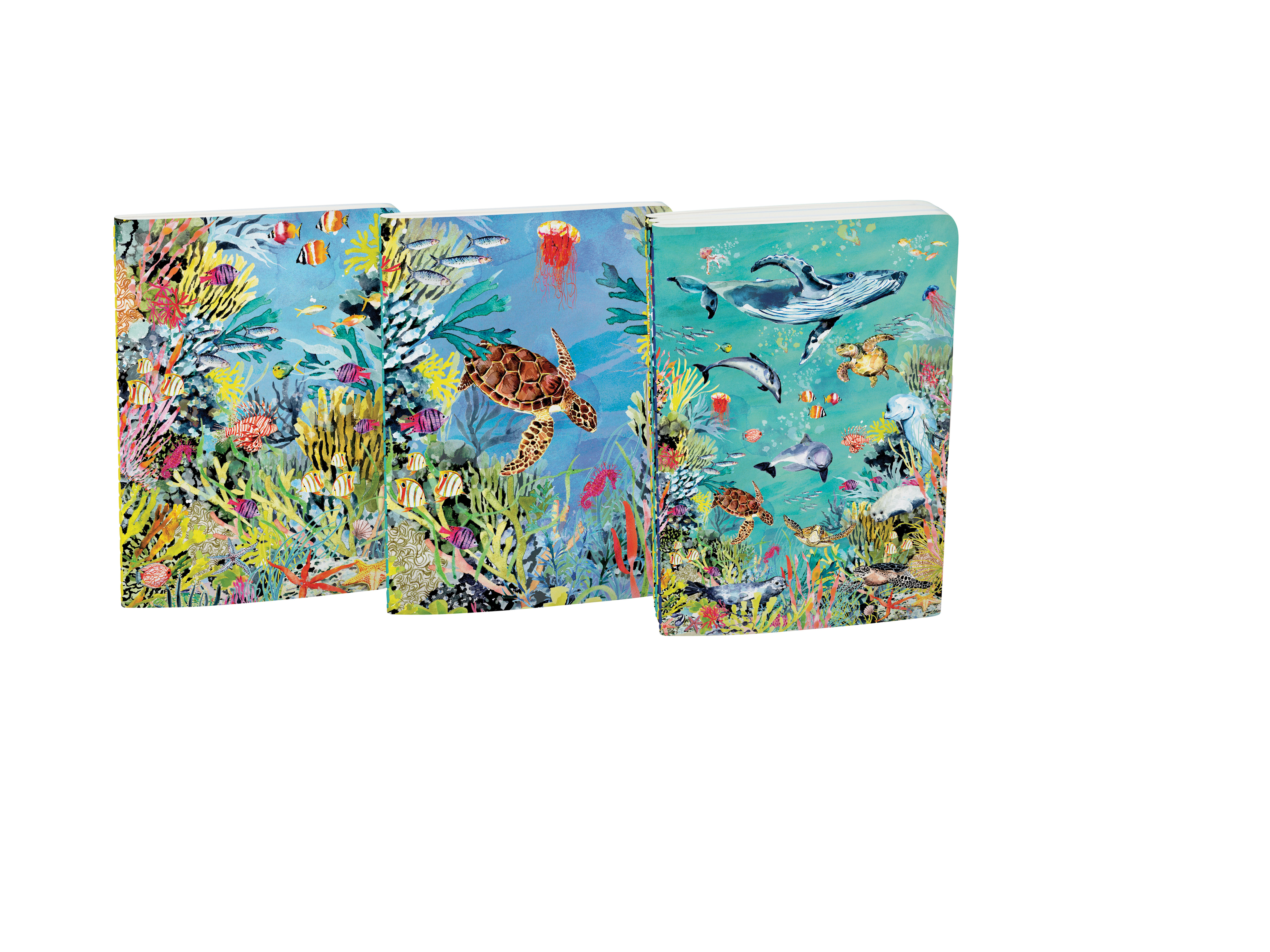 Oceania A6 Softback Notebook Set - 3
