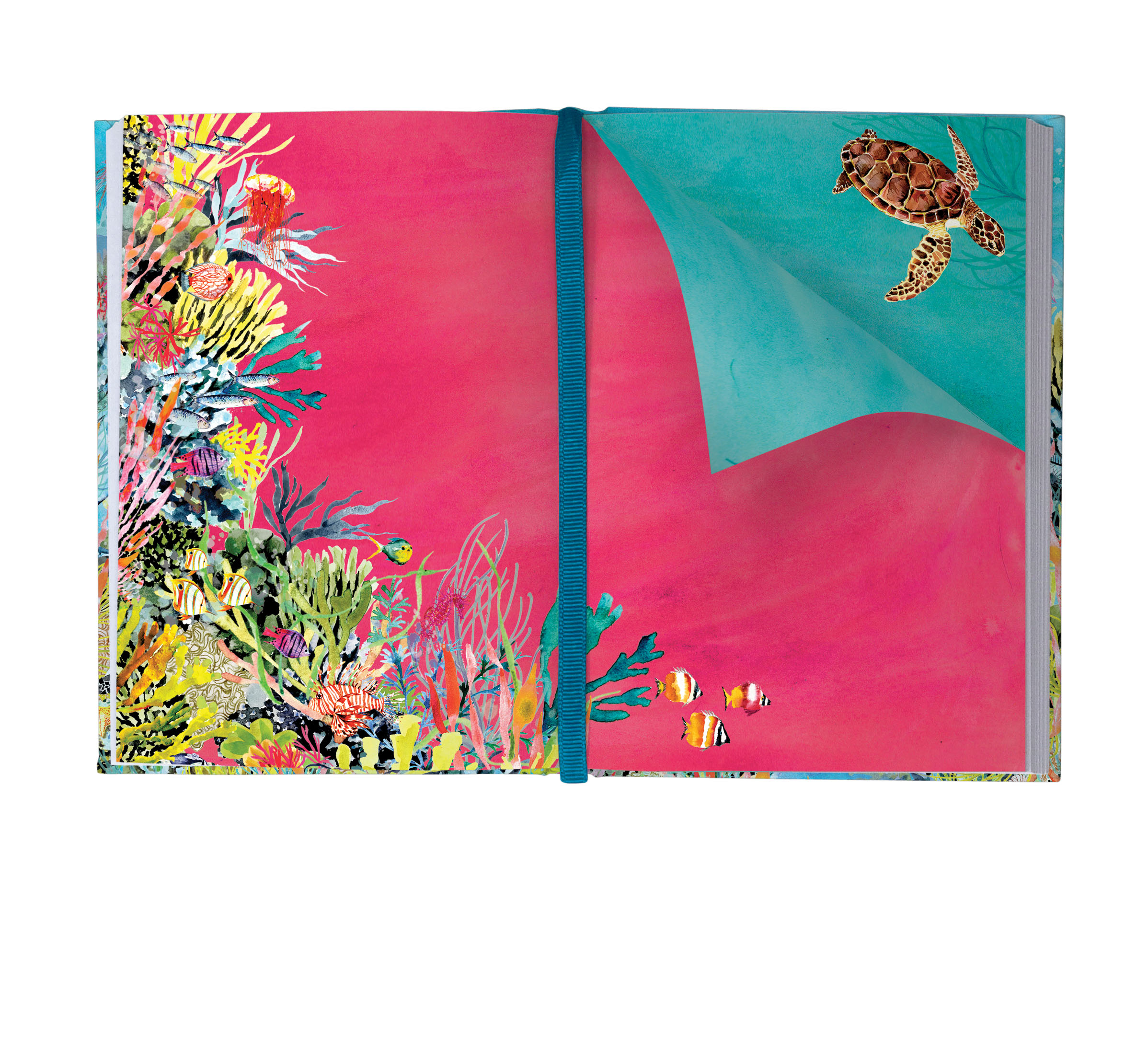 Oceania Illustrated Journal - 2