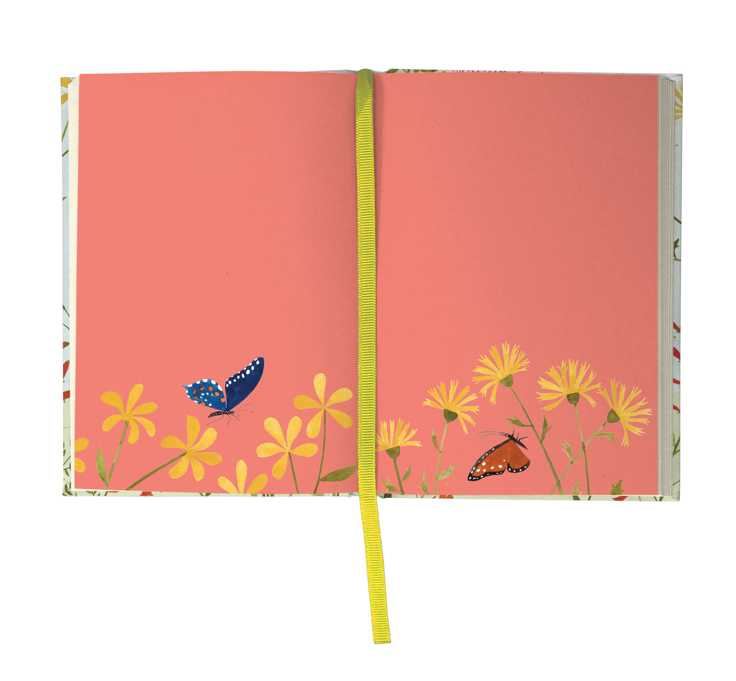 Hummingbird Illustrated Journal - 8