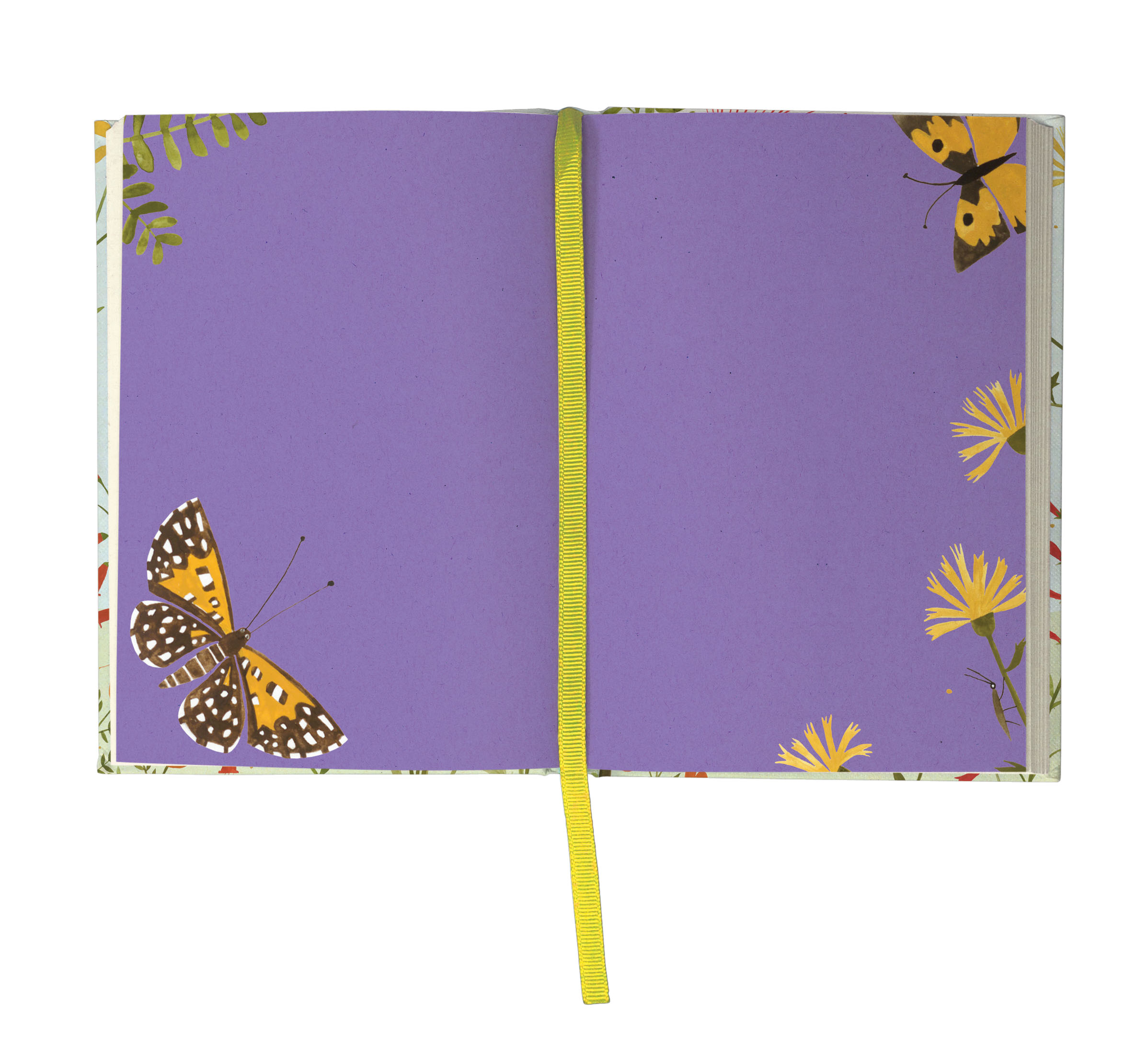 Hummingbird Illustrated Journal - 9