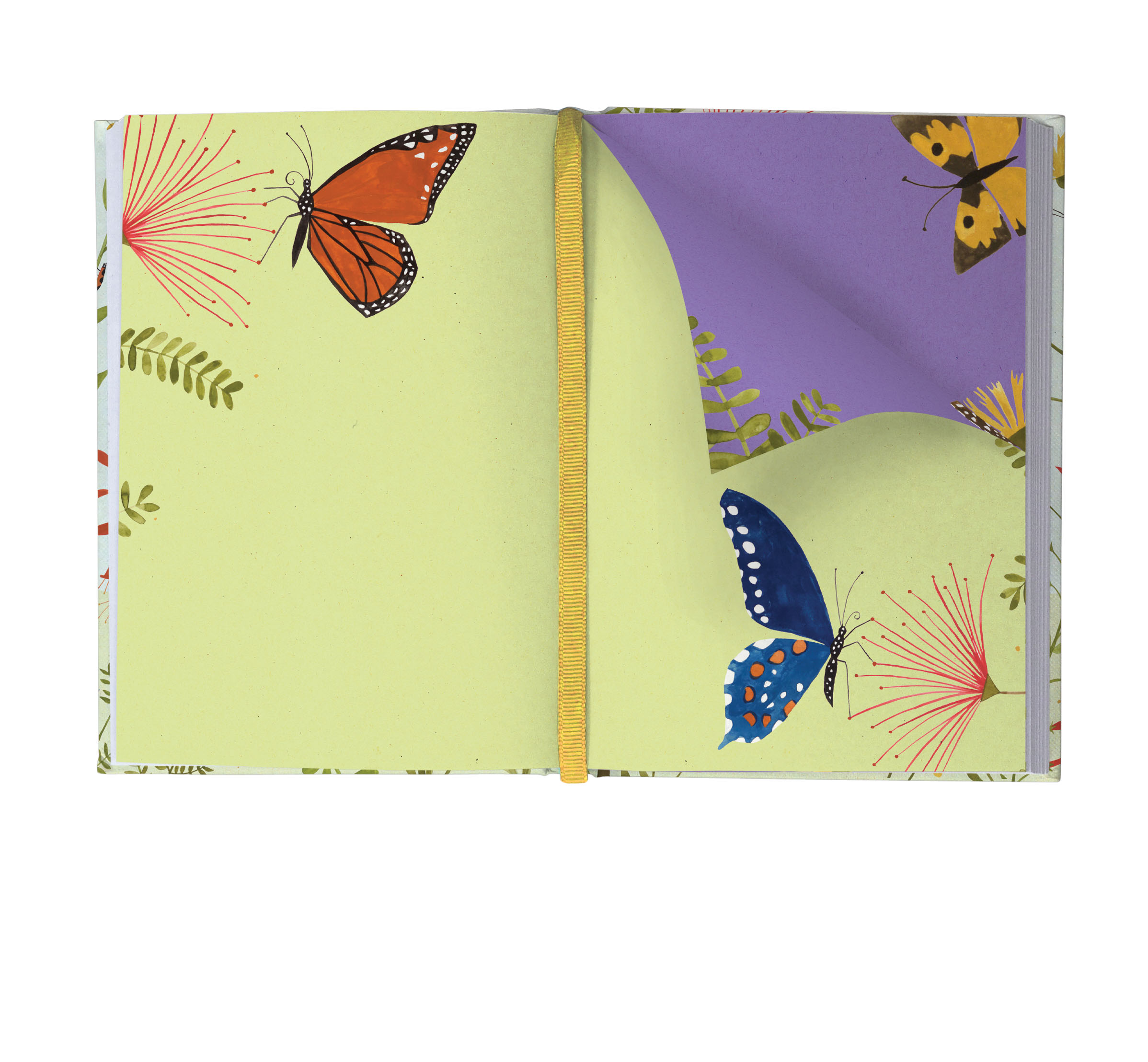 Hummingbird Illustrated Journal - 3