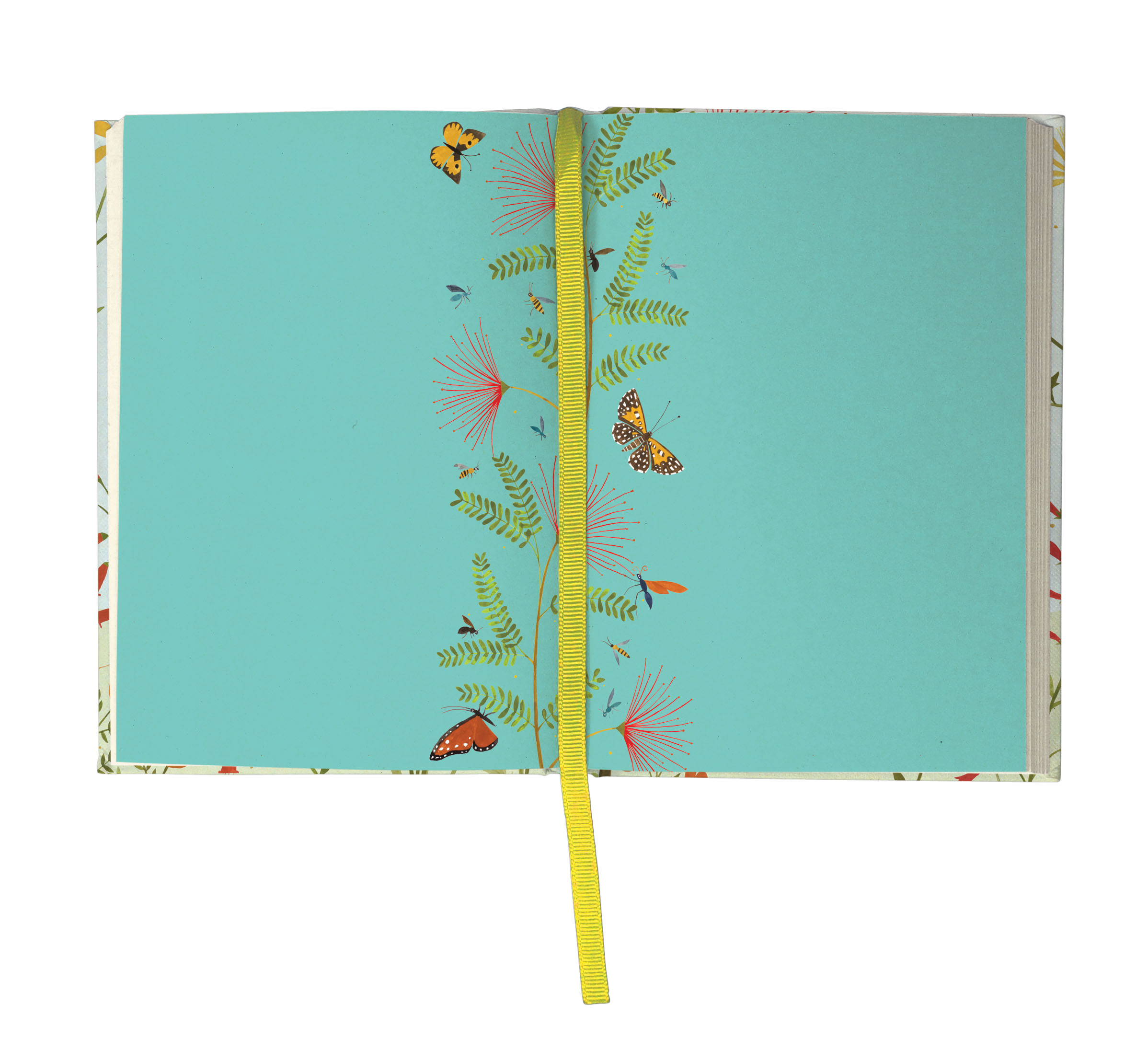Hummingbird Illustrated Journal - 6
