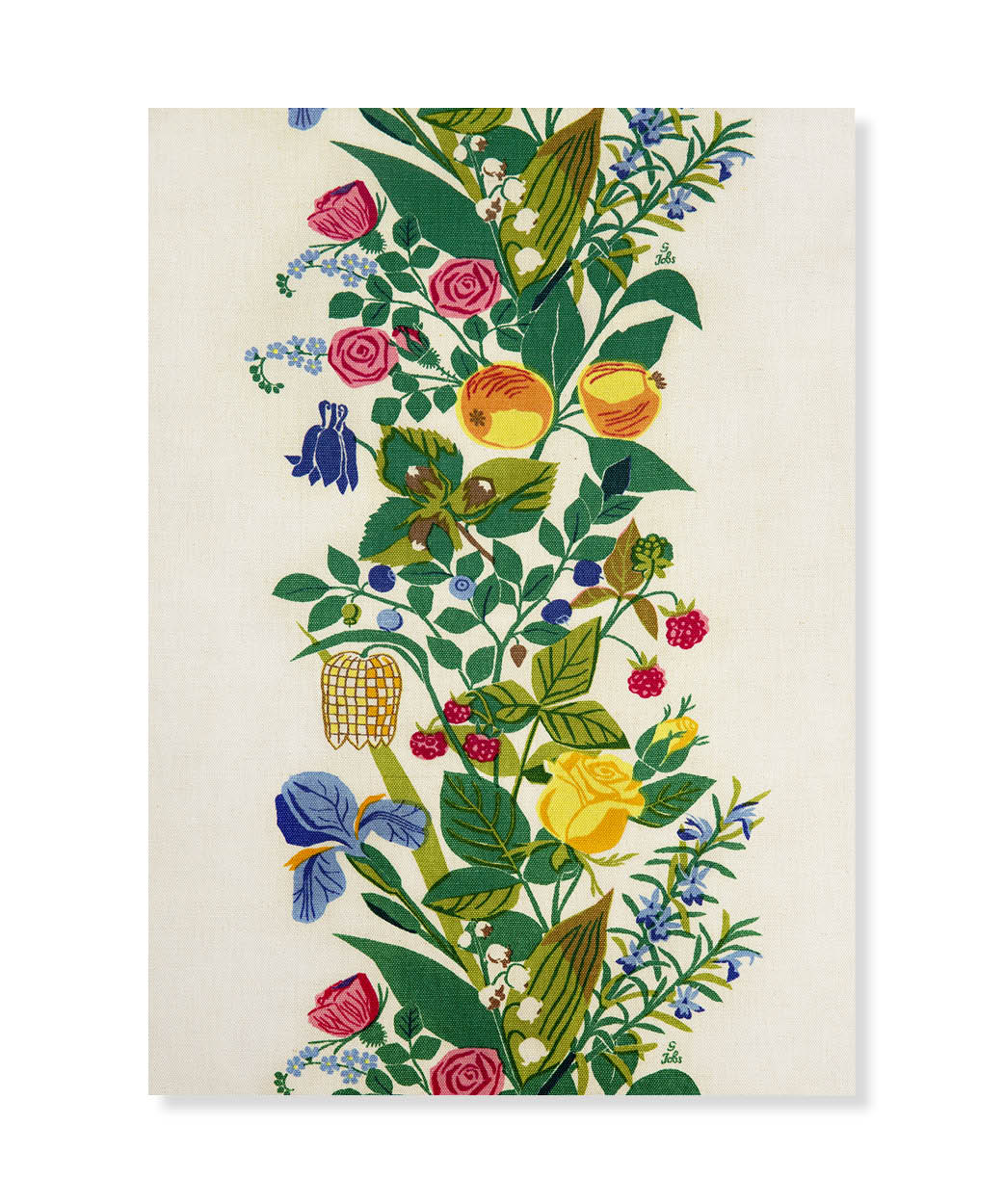 Rosmarin, Gocken Jobs, Postcard