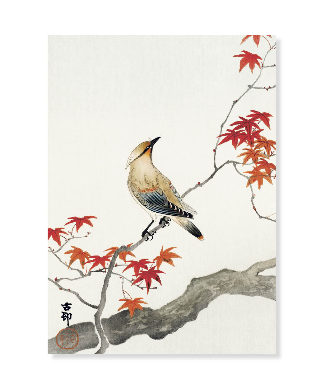 Japanese Plague Bird, Ohara Koson, Postcard