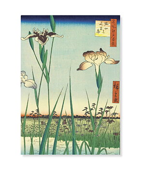 Horikiri Iris Garden, Postcard