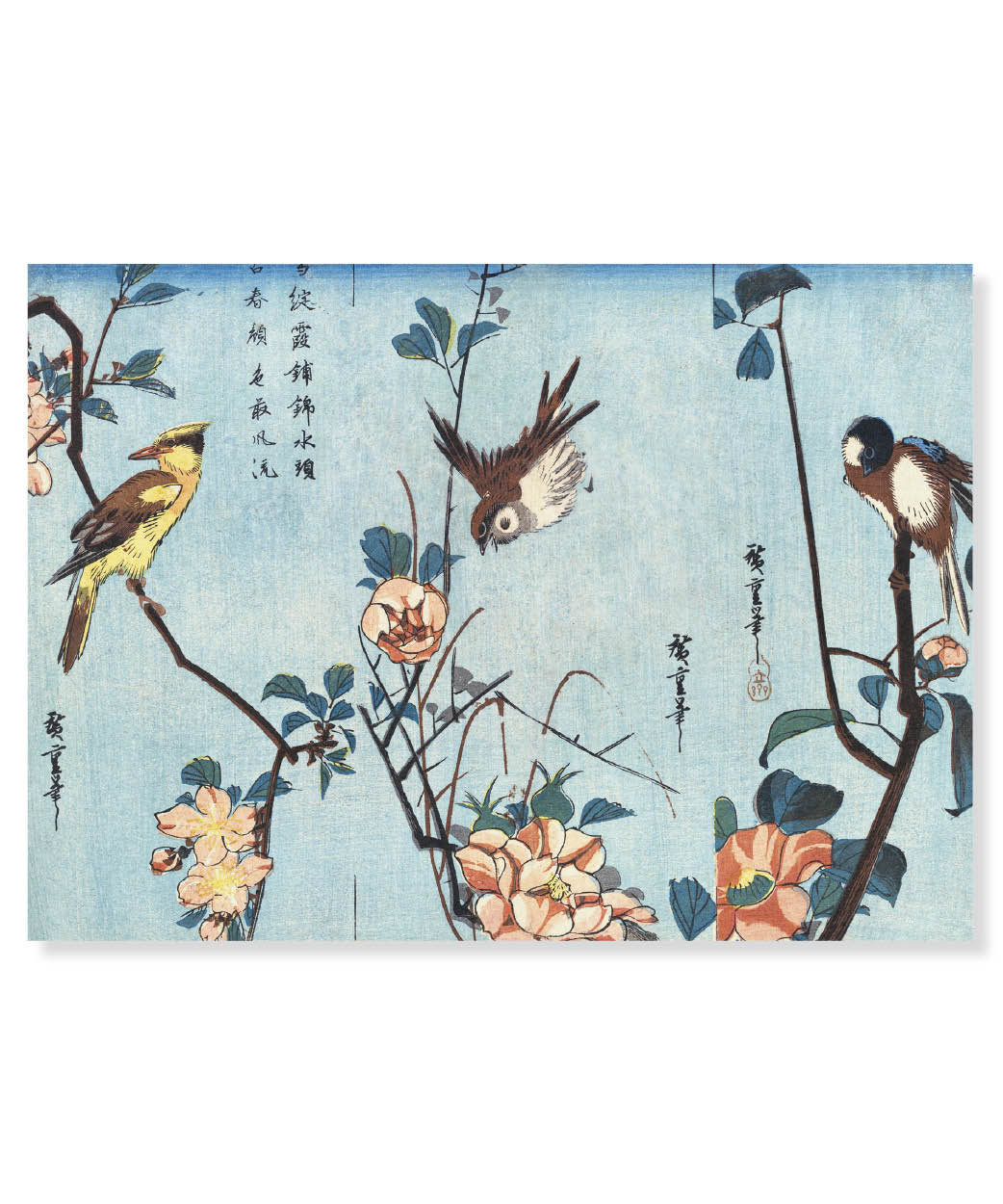 Japanese Birds and Cherry Blossoms, Vykort