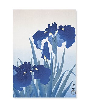 Blue Irises, Ohara Koson, Postcard