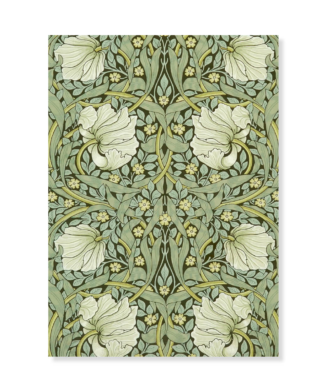 Pimpernel, William Morris, Postcard