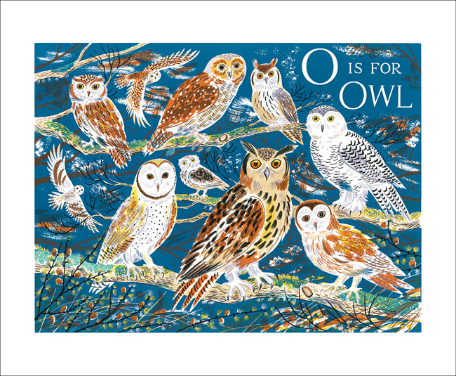 O is for Owl, Greeting Card