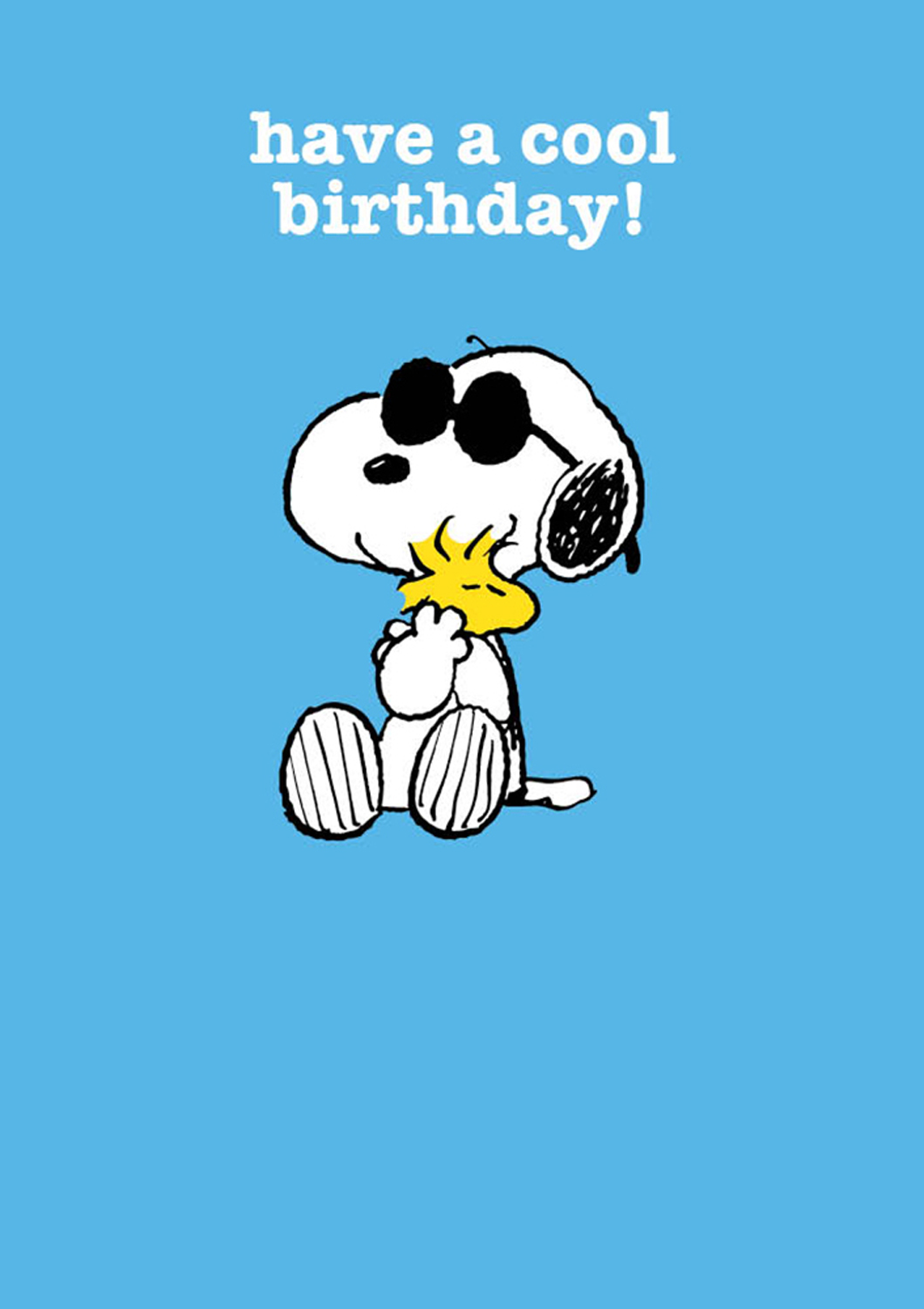 Snoopy cool birthday, Greeting Card