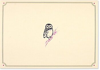 Notecards, Owl Portrait