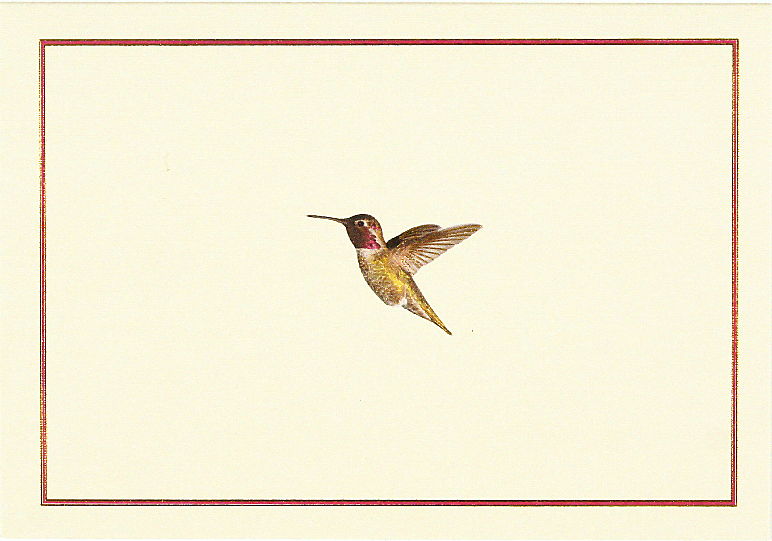 Boxed Note Cards, Hummingbird