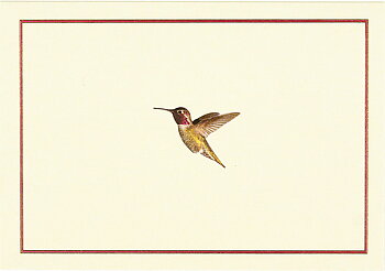 Boxed Note Cards, Hummingbird