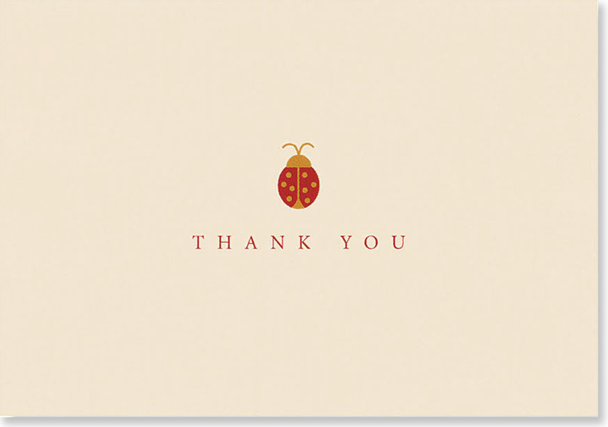 Boxed Note Cards, Ladybug