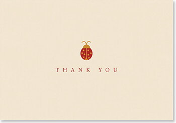 Boxed Note Cards, Ladybug