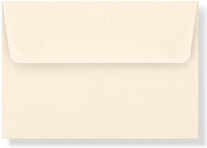 Boxed Note Cards, Ladybug - 2