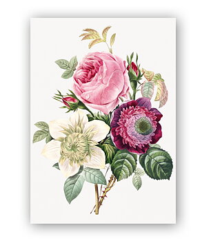 Anemone and Cabbage Rose, Greeting Card