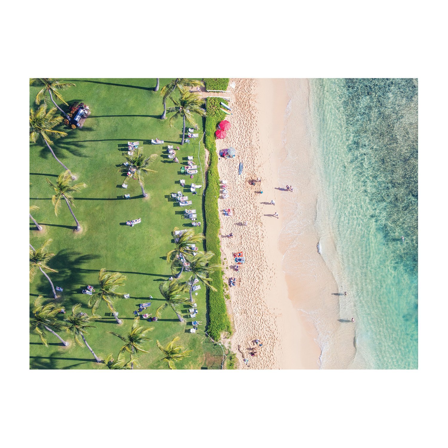 Gray Malin The Hawaii Beach Double Sided 500 Piece Puzzle - 7