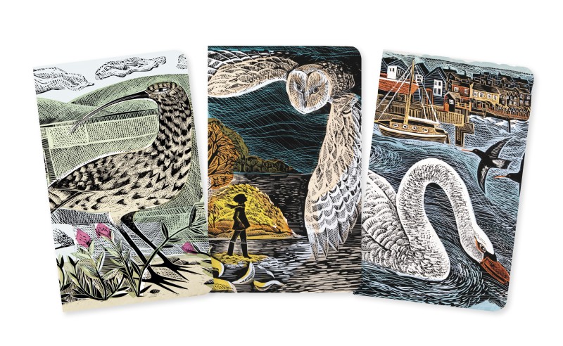 Angela Harding: Wildlife Set of 3 Mini Notebooks - 2
