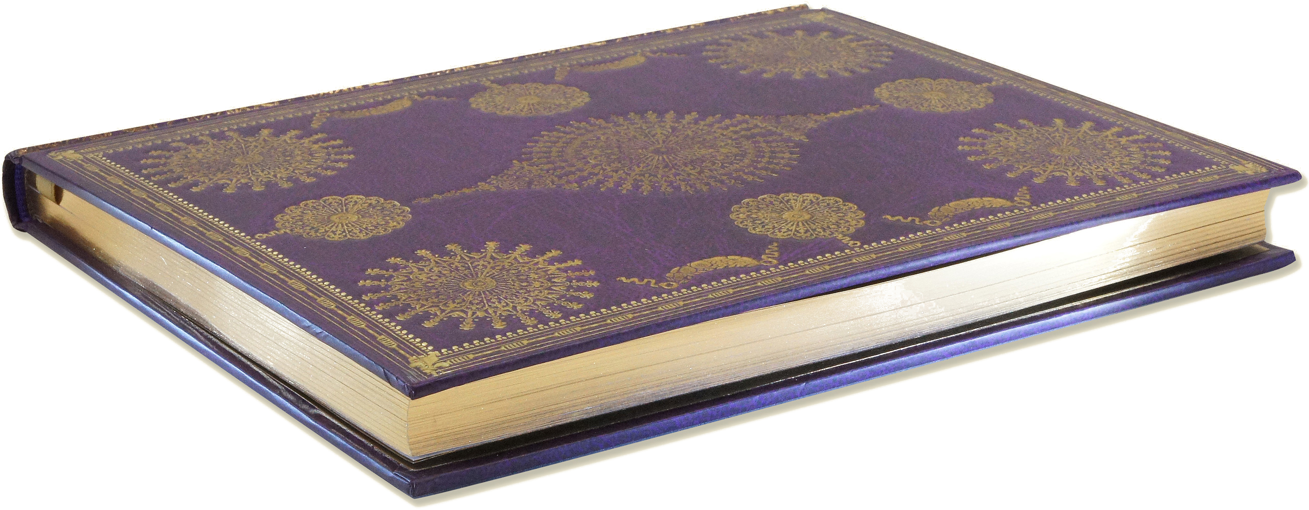 Oversize Journal, Versailles - 2