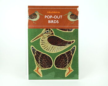 Pop-Out Woodcock