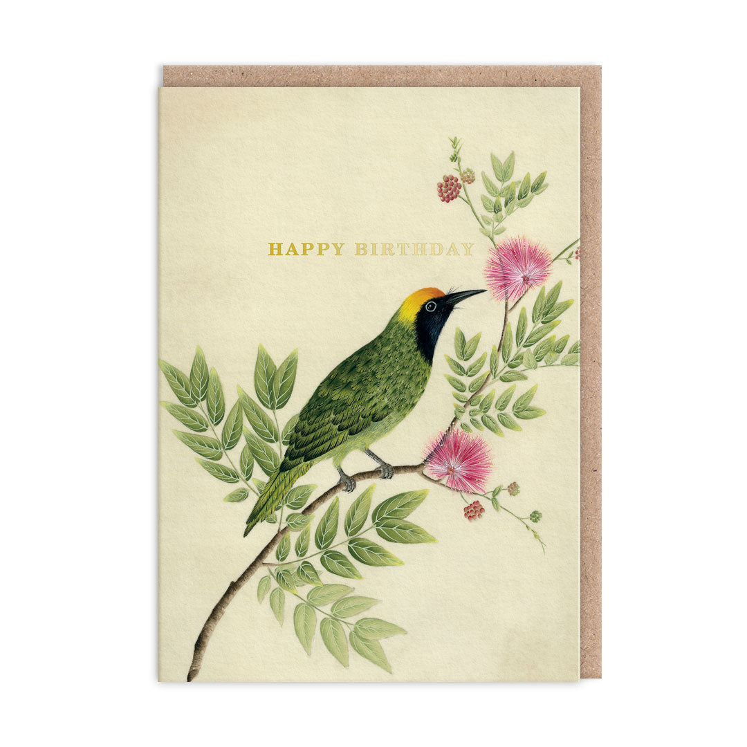 Songbird, Greeting Card