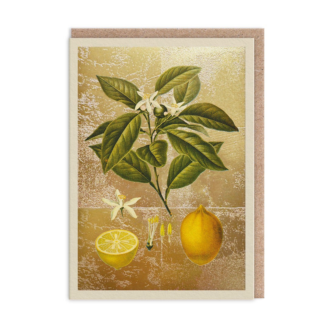 Lemons Greeting Card (11986) - 2