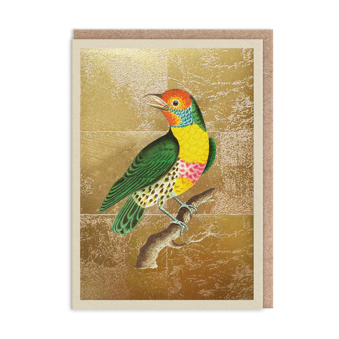 Lemon Throated Barbet Greeting Card