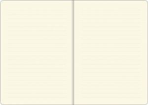 Hedgehogs Journal - 3