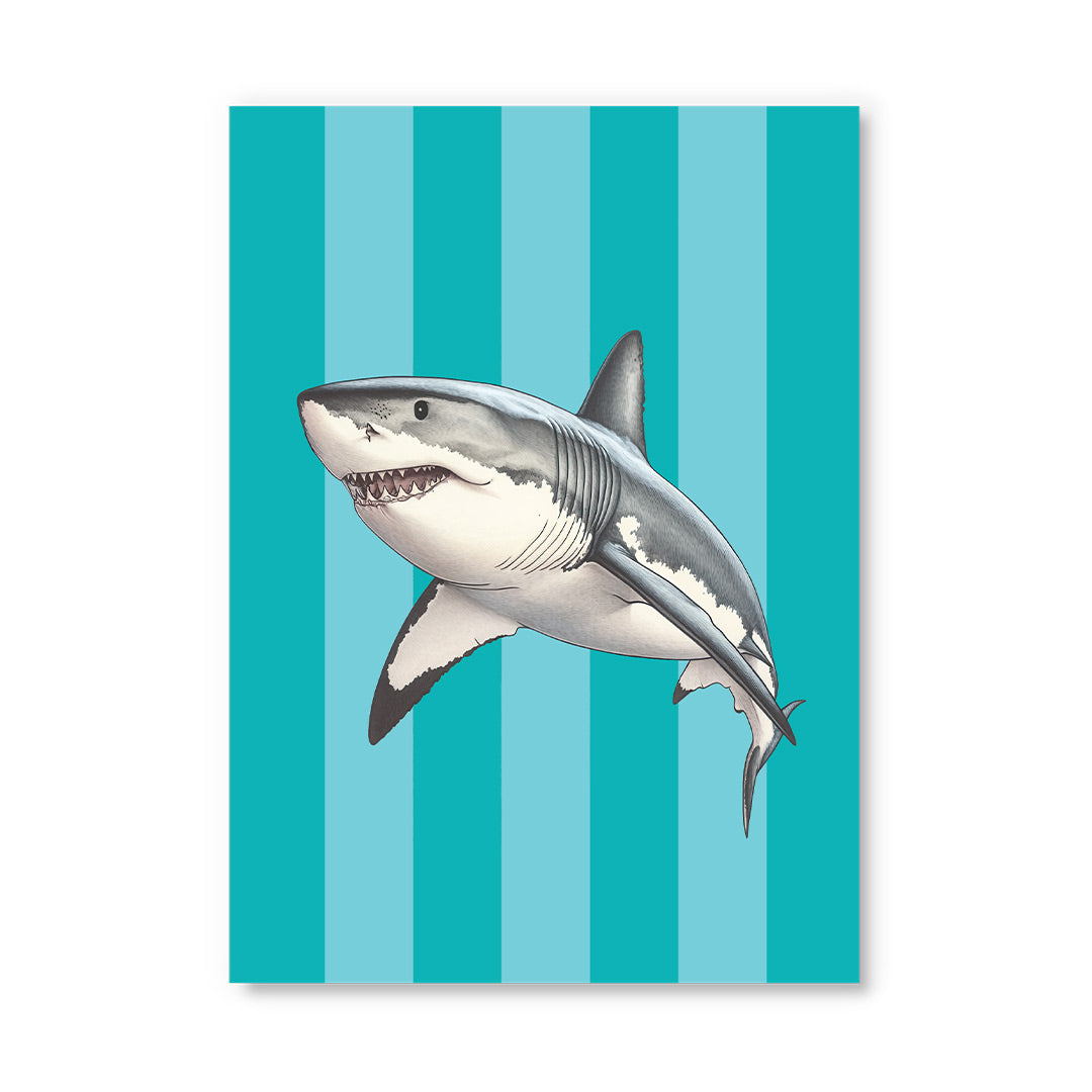Striped Shark Postcard (12327) - 2