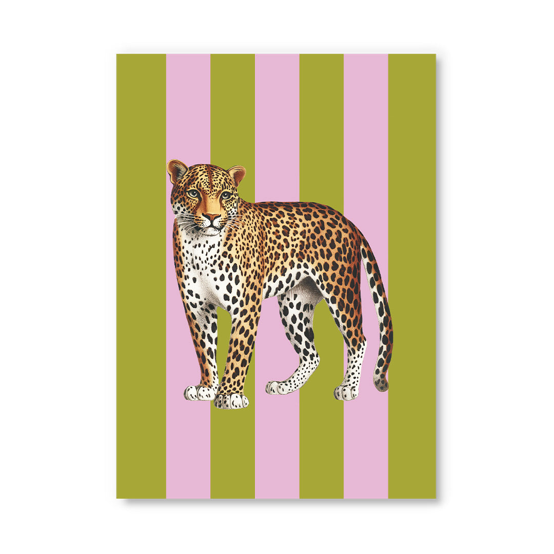 Striped Leopard Postcard (12331) - 2