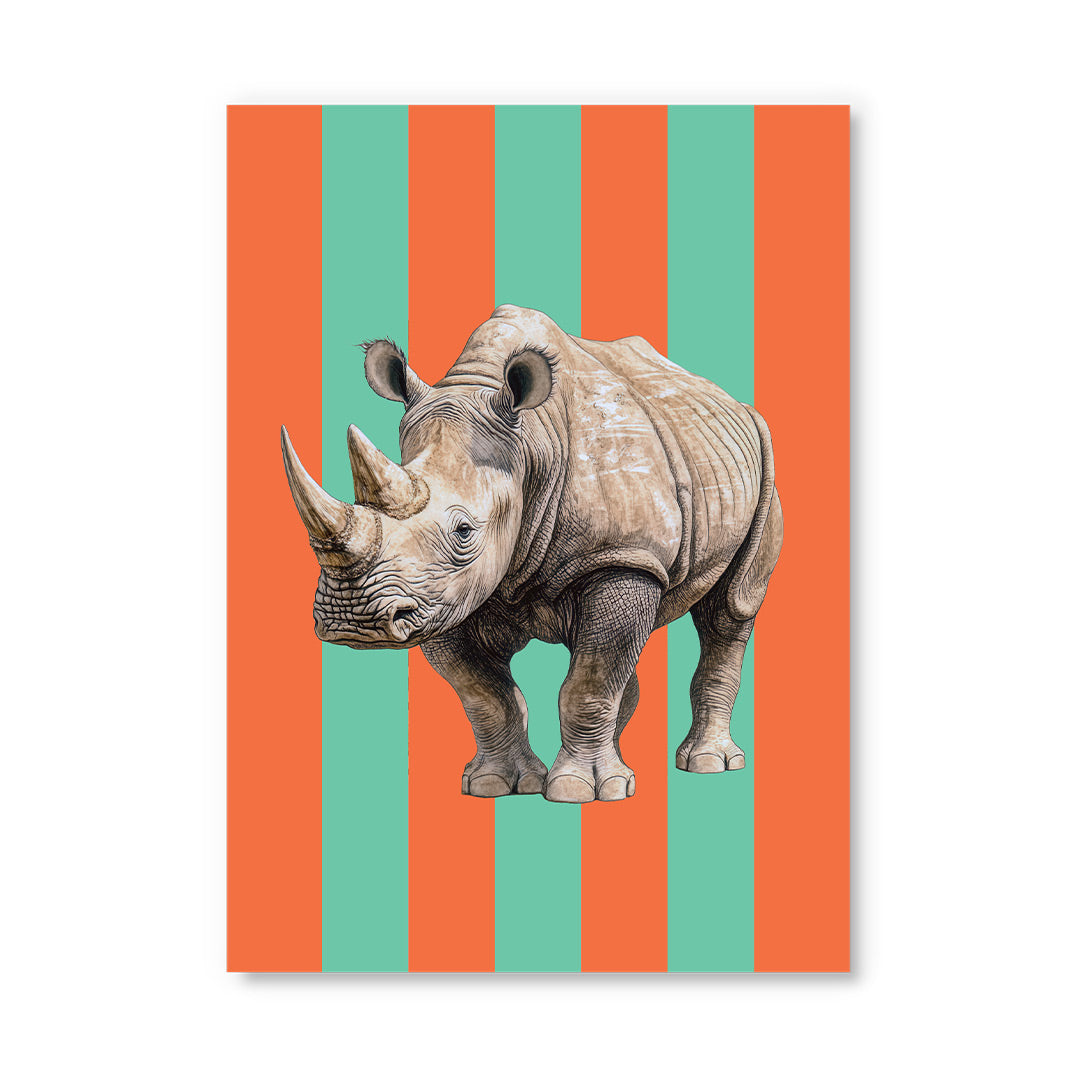 Striped Rhino Postcard (12332) - 2