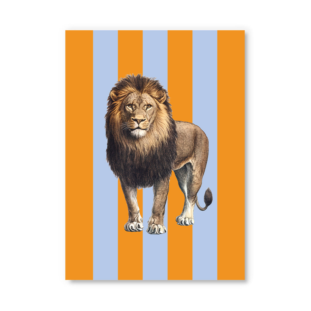 Striped Lion Postcard (12333) - 2