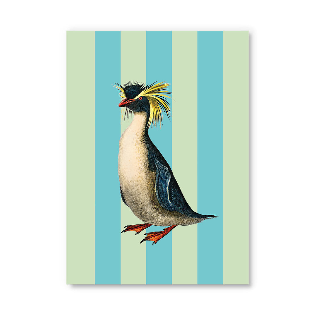 Striped Penguin Postcard (12337) - 2