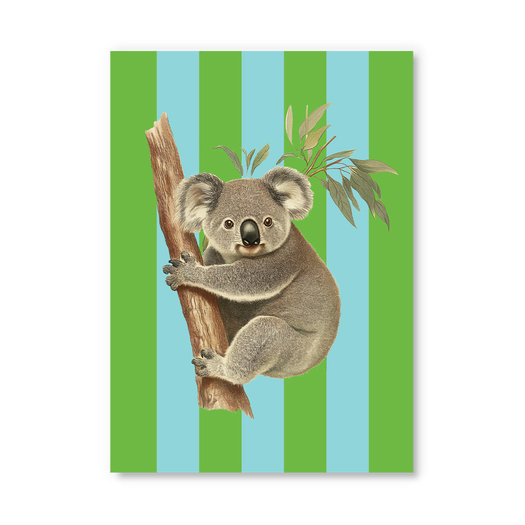 Striped Koala Postcard (12338) - 2