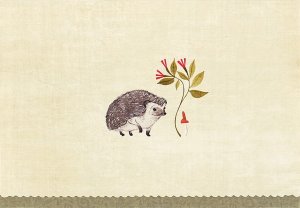 Hedgehog, Notecard Box with 14 cards 