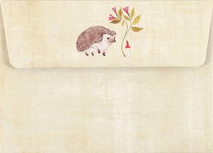 Hedgehog, Notecard Box with 14 cards  - 2