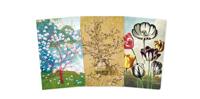 Blossoms & Blooms Set of 3 Mini Notebooks - 2