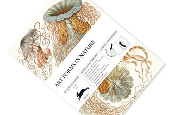 Art Forms in Nature, Gift & Creative Paper Book