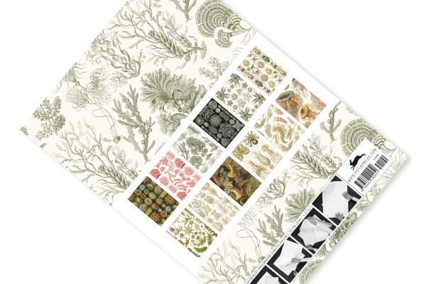 Art Forms in Nature, Gift & Creative Paper Book - 2