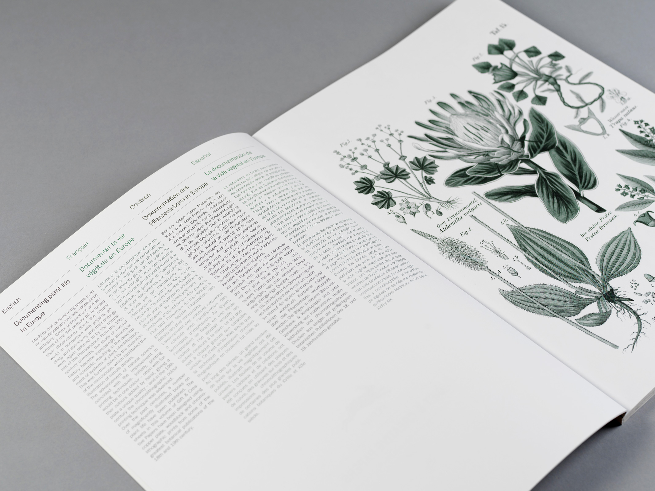 Flora, Gift&Creative Paper Book - 9