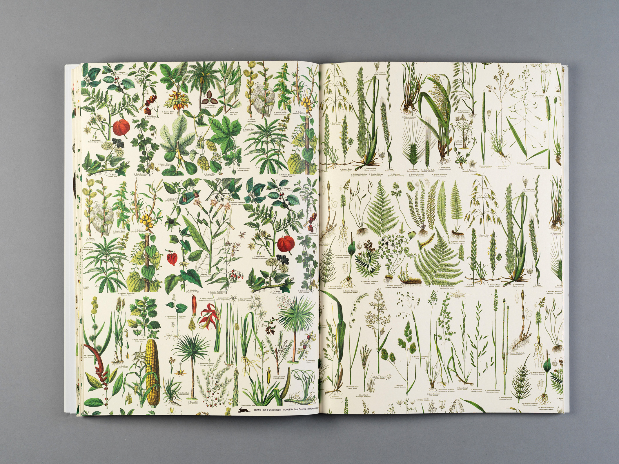 Flora, Gift&Creative Paper Book - 3