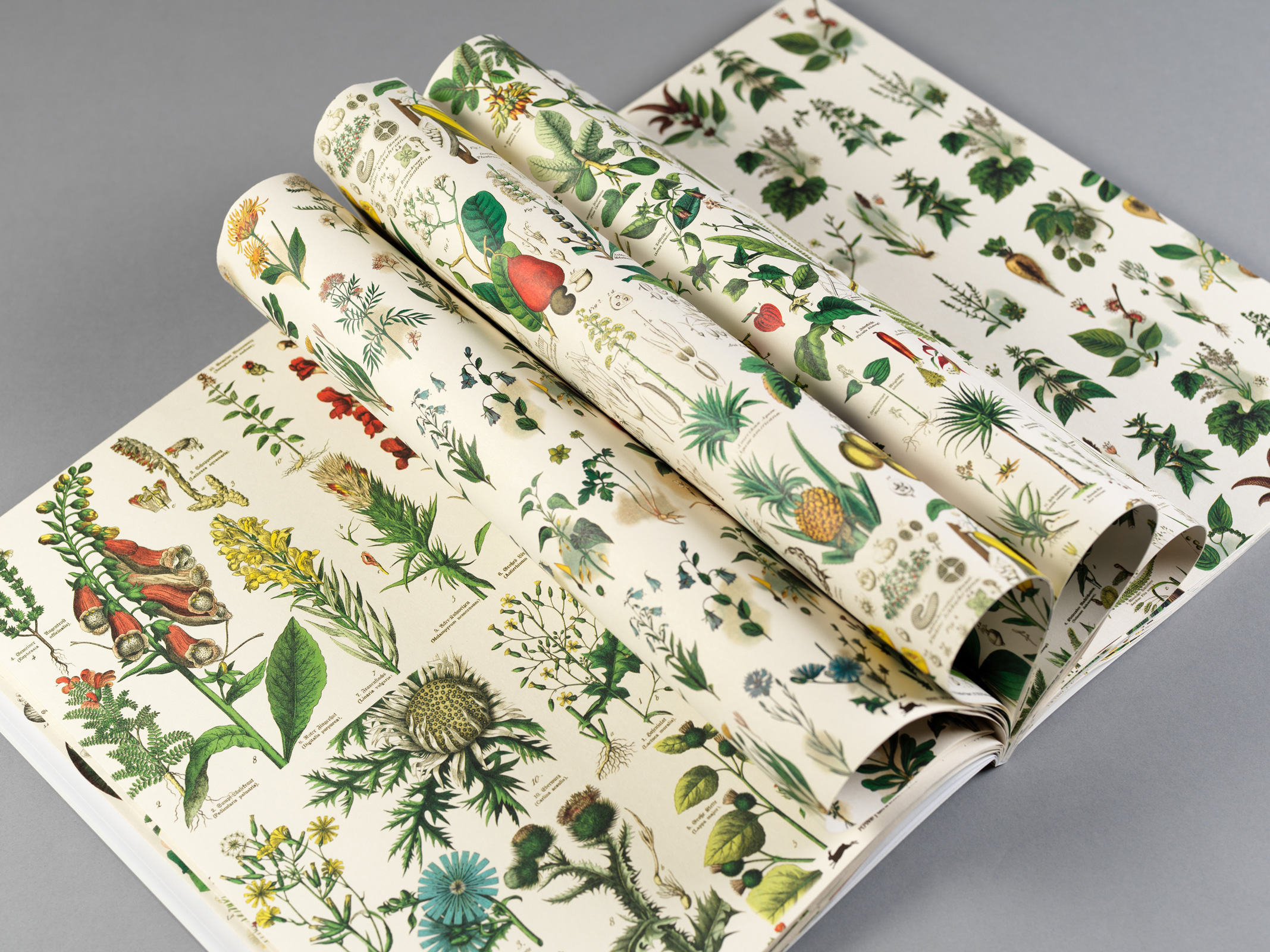 Flora, Gift&Creative Paper Book - 2