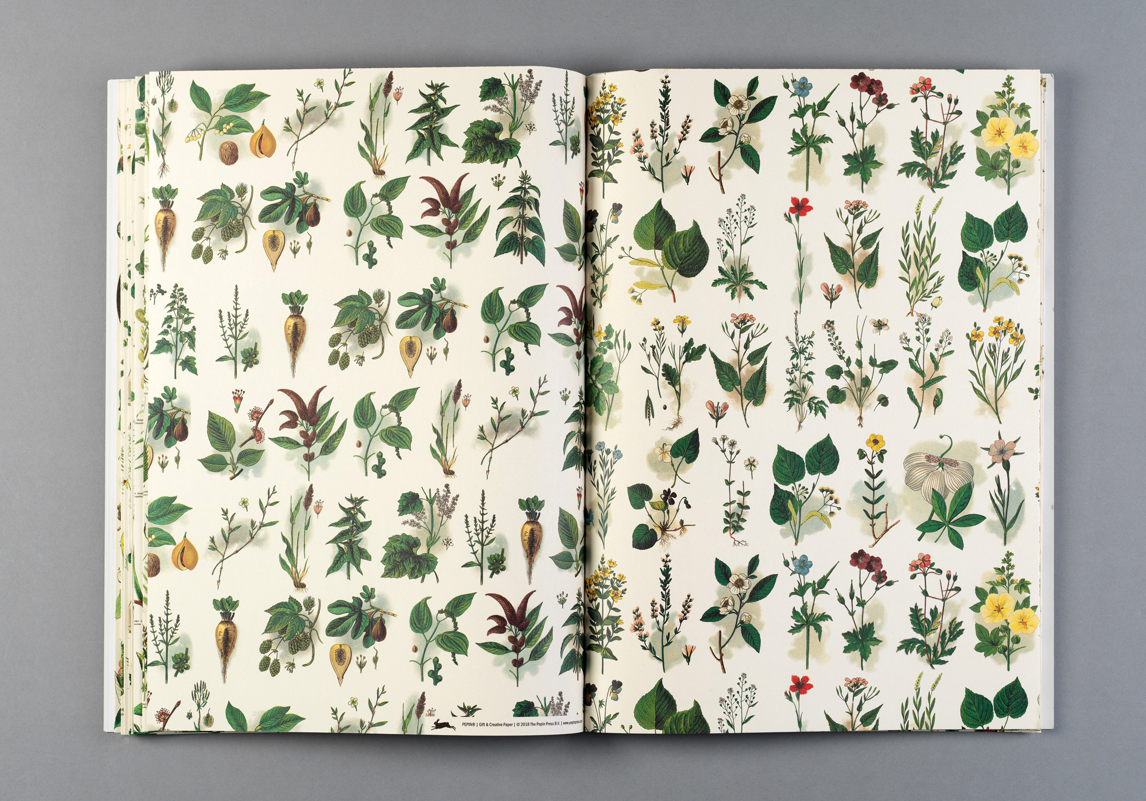 Flora, Gift&Creative Paper Book - 4