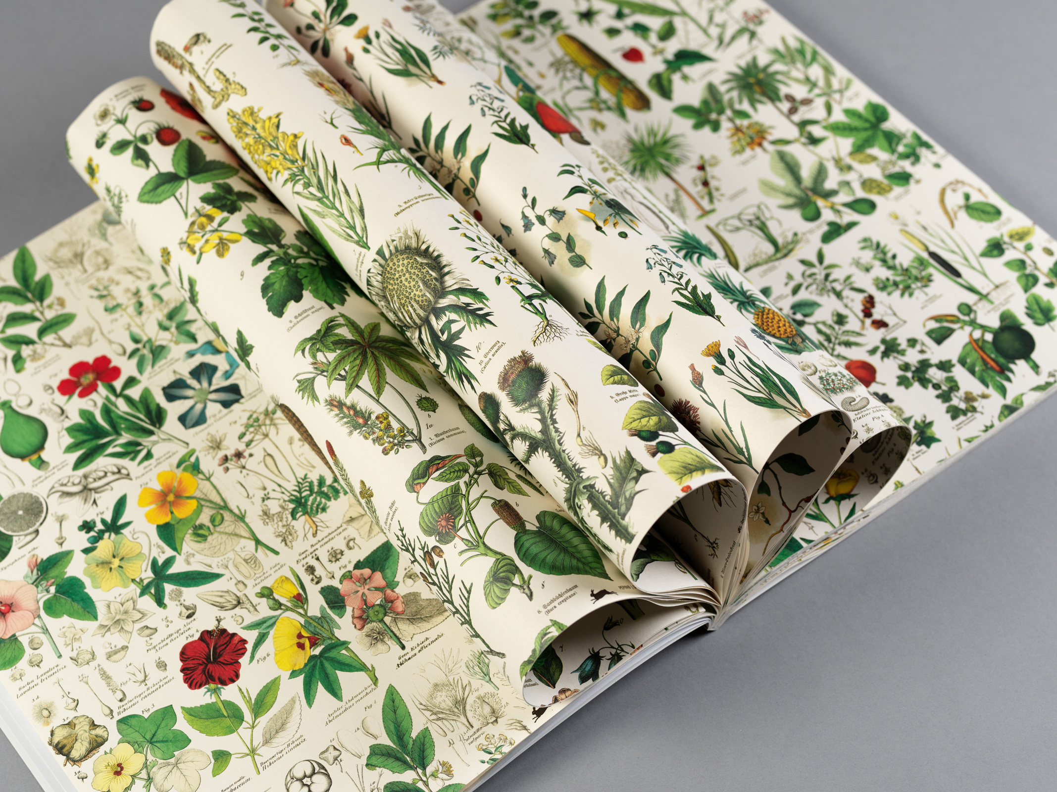 Flora, Gift&Creative Paper Book - 8